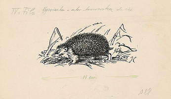 Jan Hála – 3. - Vysviacka 2. 