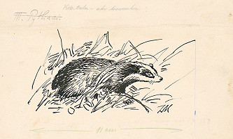 Jan Hála – 4. - Tatras Cliffs 