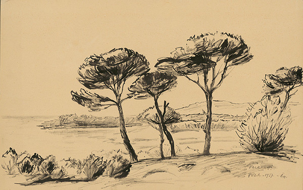 Matilda Čechová – Pula - valkany 