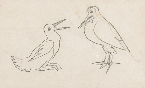Arnold Peter Weisz-Kubínčan – Sketch of Birds
