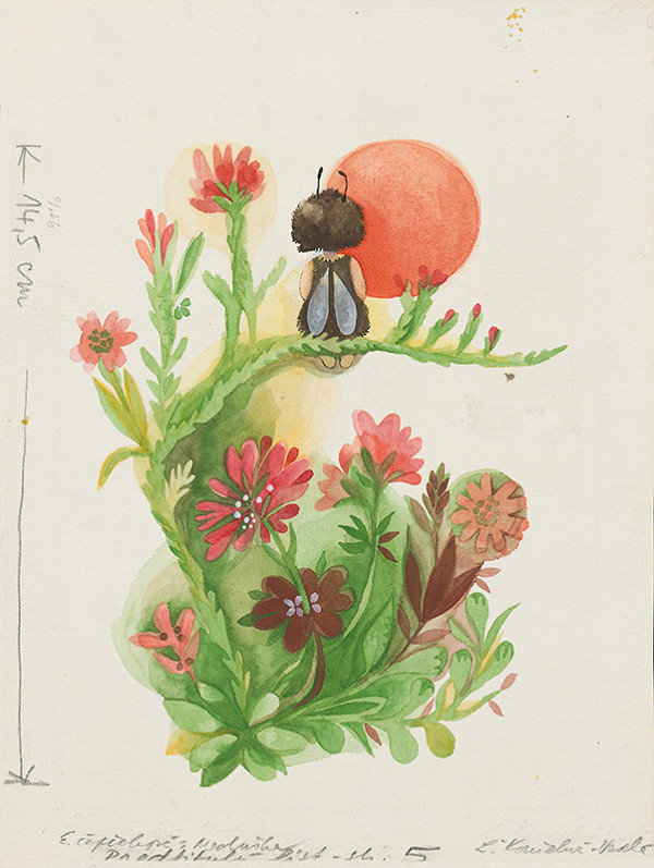 Ľuba Končeková-Veselá – Meduška a jej kamaráti 1. 