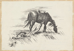 Edmund Massányi – 17. - Killed 