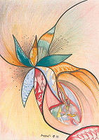 Eva Droppová – Bez názvu 