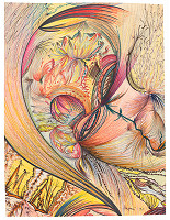 Eva Droppová – Bez názvu 