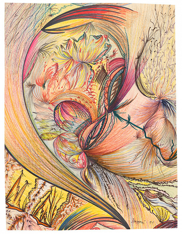 Eva Droppová – Bez názvu 