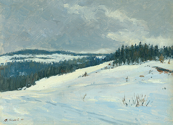 Martin Tvrdoň – Winter in the Low Tatras