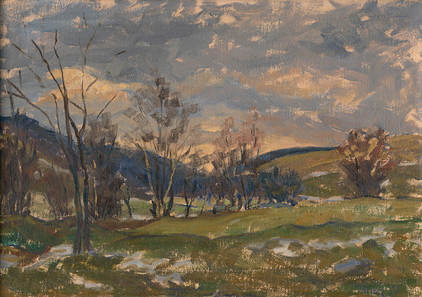Michal Tillner – Landscape in January