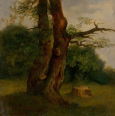Jozef Božetech Klemens – Study of a Leafy Tree 