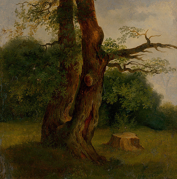 Jozef Božetech Klemens – Study of a Leafy Tree