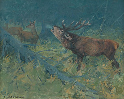 Karol Šovánka – Deer 