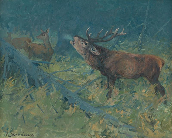 Karol Šovánka – Deer 
