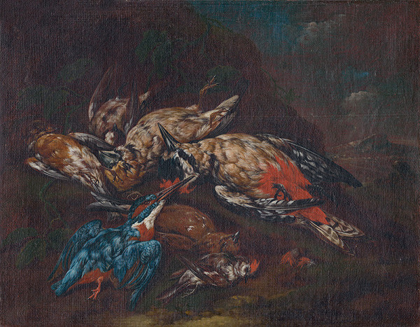 Franz Michael Siegmund von Purgau – Zátišie s mŕtvymi vtákmi