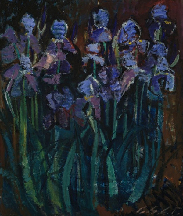 Gabriela Schillerová – Irises