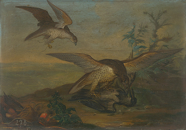 Nemecký maliar – Zápas vtákov
