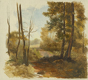 Jan Novopacký – Forest Path 