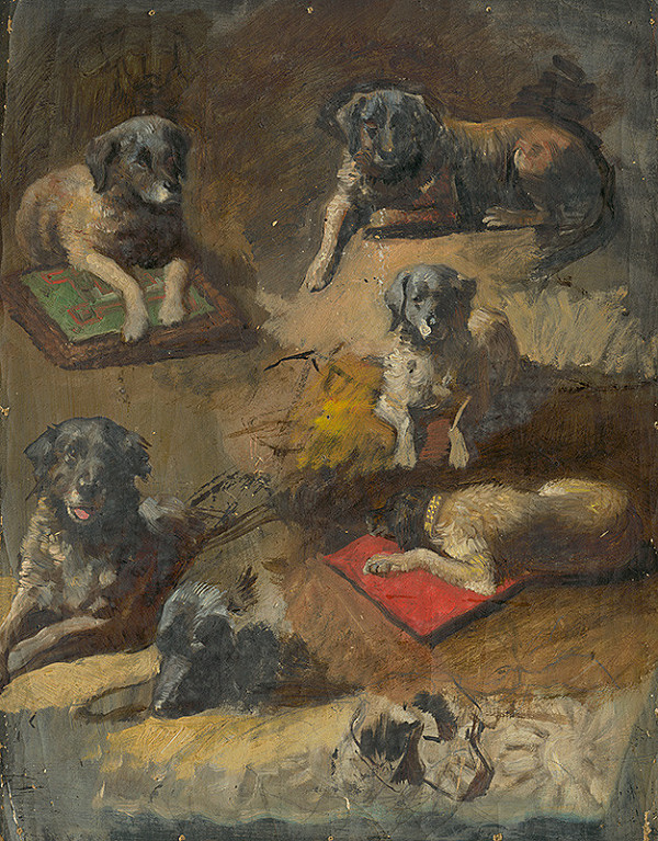 Jan Novopacký – Study of a Dog