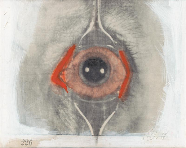 František Fegl – Oko I. Bez názvu 