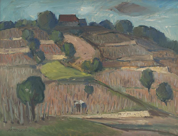 Martin Tvrdoň – Malé vinohrady na svahu