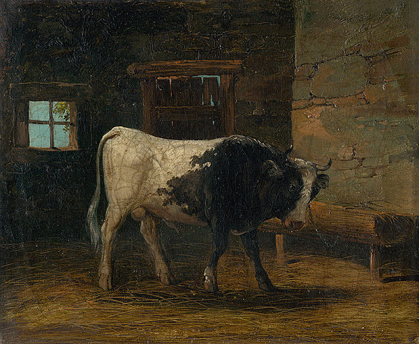Stredoeurópsky maliar z 19. storočia – Býk