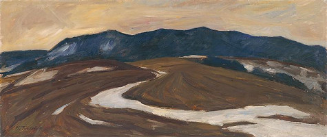 Martin Tvrdoň – Predjarie na poliach 