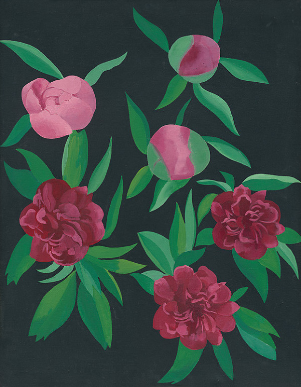 Oľga Bartošíková – Rozkvitajúce a rozkvitnuté pivonky 