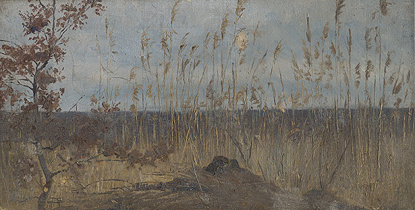Ladislav Mednyánszky – Study of a Marsh Landscape 