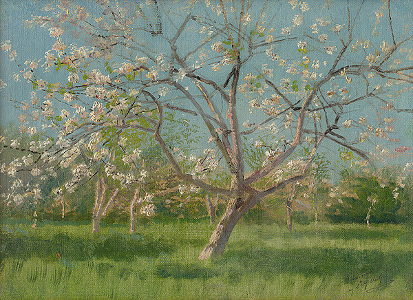 Ladislav Mednyánszky – Study of Blooming Trees in an Orchard