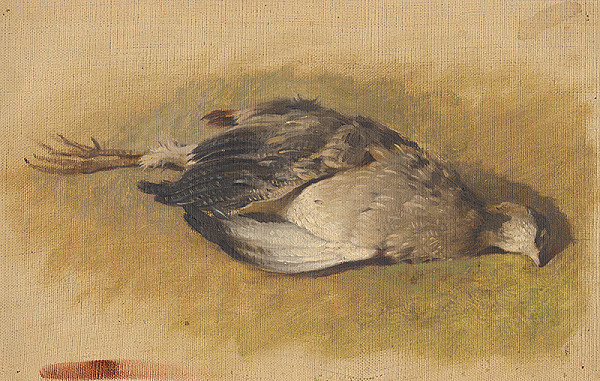 Friedrich Carl von Scheidlin – Sketch of a Dead Partridge