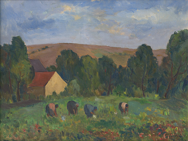 Martin Tvrdoň – Zber zeleniny 