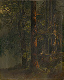 Stredoeurópsky maliar, Karol Ľudovít Libay – Interiér lesa 