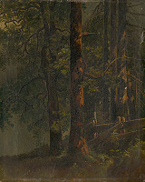 Stredoeurópsky maliar, Karol Ľudovít Libay – Interiér lesa 