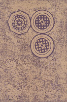 Štefan Schwartz – Predigergasse I., Zürich 