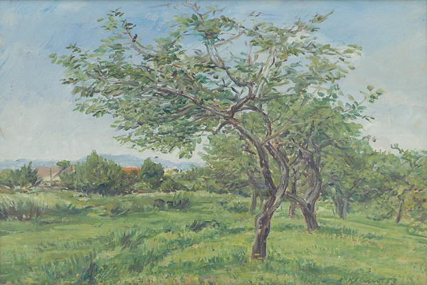 Alojz Klimo – Apple Trees