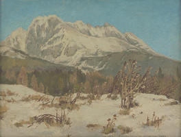 Jaroslav Votruba – Stalinov štít 