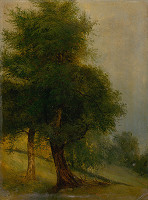 Jozef Božetech Klemens – Stromy na svahu 