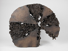 Vladimír Môťovský – Tmavá plastika - Nevädza 