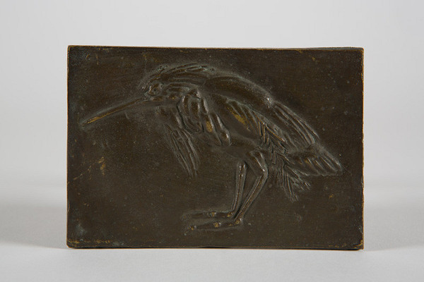 Marián Polonský – Portrét vtáka chavkoša 