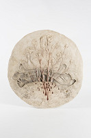 Mikuláš Palko – Na hroboch hrdinov rastú ruže 