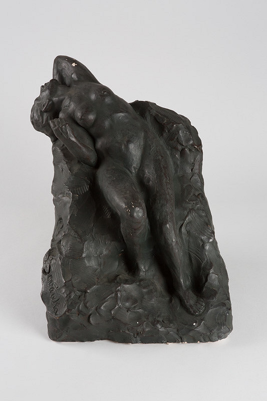 Karol Šovánka – Utrpenie 