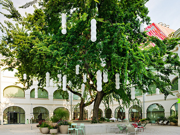 Jana Želibská – Silkworm 