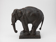 Etha Richter – Štúdia slona 