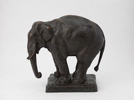 Etha Richter – Štúdia slona 