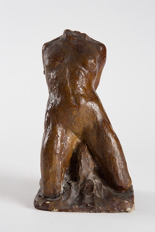 Ján Koniarek – Štúdia I. Torzo 