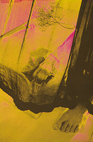 Milota Havránková – Pocta II. 