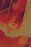 Milota Havránková – Pocta IV. 