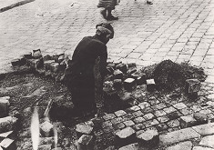 Irena Blühová – Dláždič 