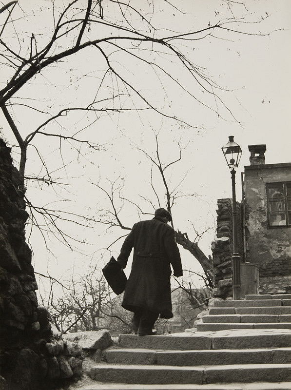 Štefan Tamáš – Na okraji cesty 