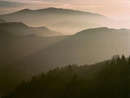 Pavol Breier – Orava II. 