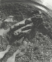 Pavel Meluš – Proizd III. 