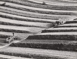 Martin Martinček – Liptovská krajina III. 